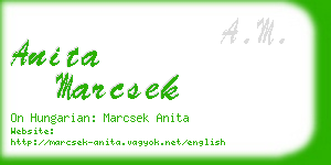 anita marcsek business card